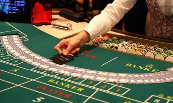 bet88247