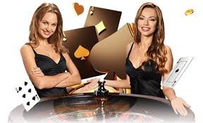 bet88247